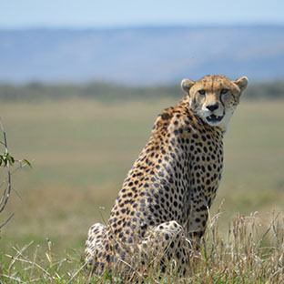 Entice Africa Safaris _0001_DSC_0195