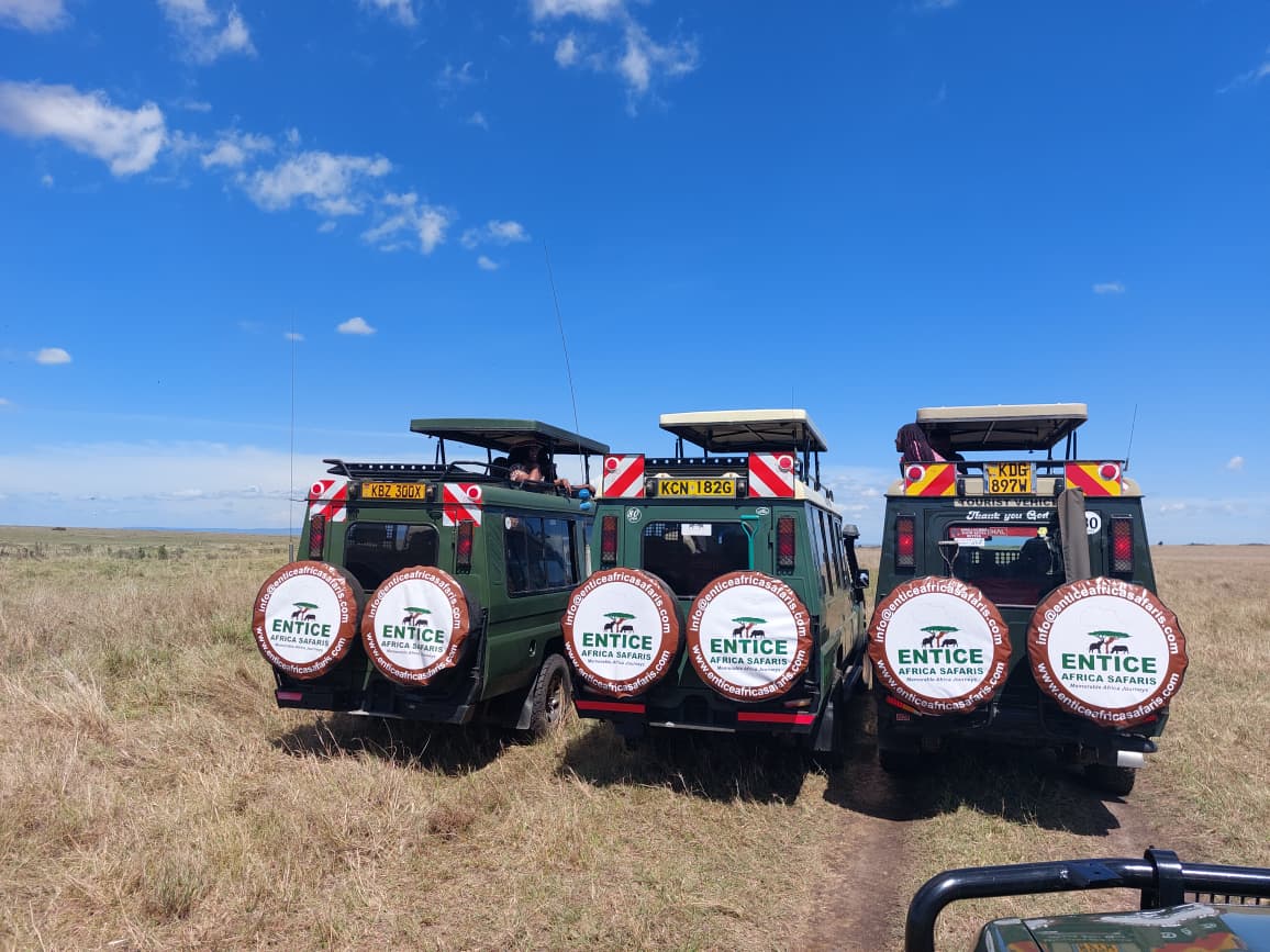 Entice Safaris 3