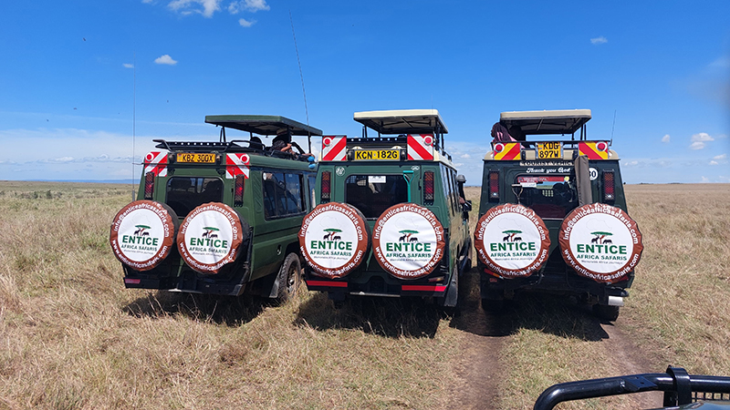 entice africa safaris about us 2